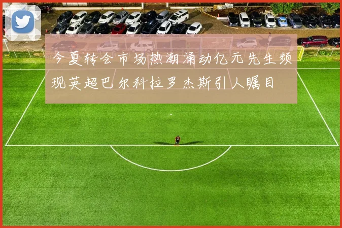 今夏转会市场热潮涌动亿元先生频现英超巴尔科拉罗杰斯引人瞩目